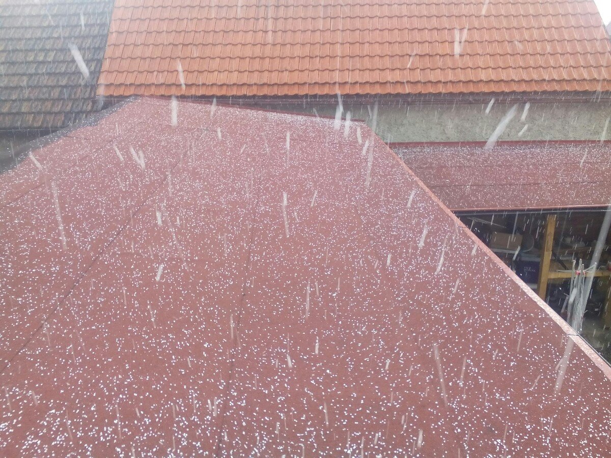 Brodce