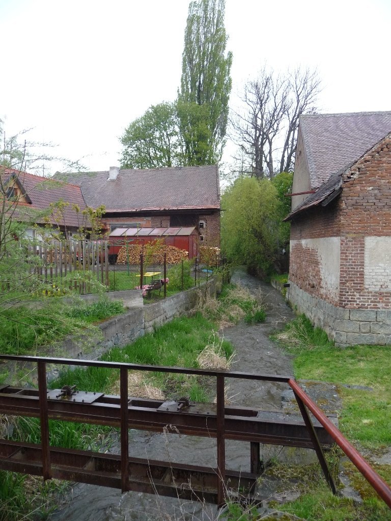 Třibřichy