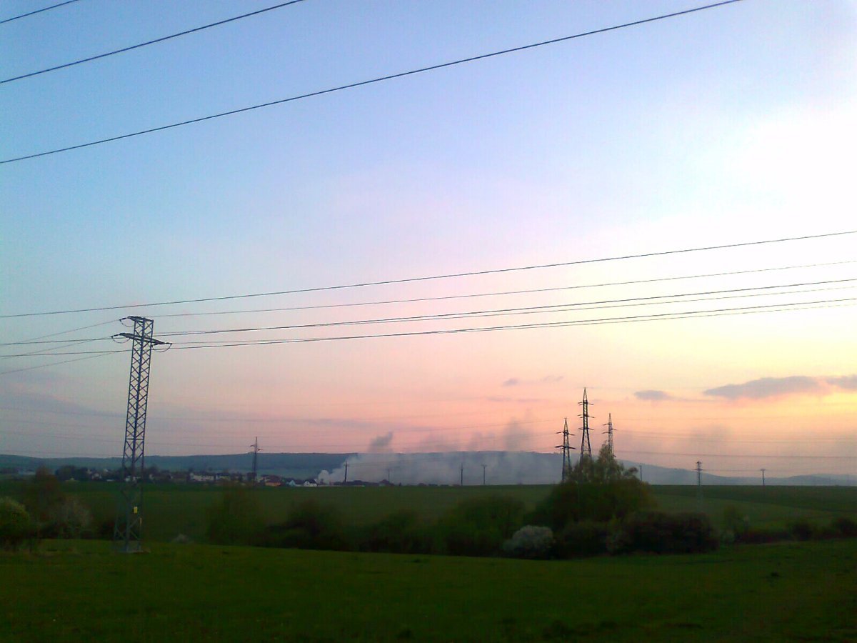 Borovina