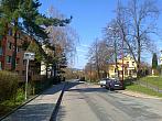 Borovina