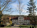 Borovina