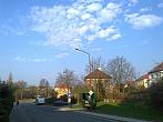 Borovina