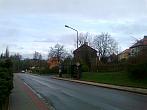 Borovina