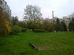Borovina