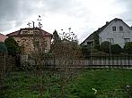 Třibřichy
