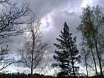 Borovina