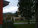 Borovina