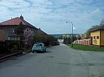 Borovina