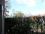 Třibřichy