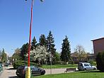 Neratovice