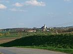 Třibřichy