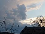 Třibřichy