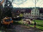 Borovina