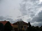 Třibřichy