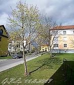 Slavičín, sídliště Vlára
