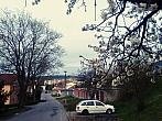 Borovina