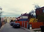 Borovina