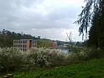 Borovina