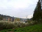 Borovina