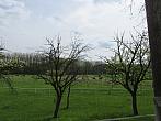 Neratovice