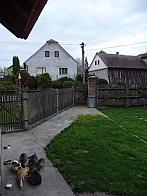 Třibřichy