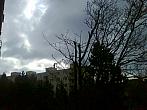 Borovina