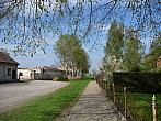Třibřichy