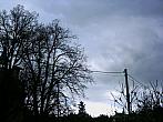 Ostrovec