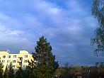 Borovina