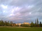 Borovina