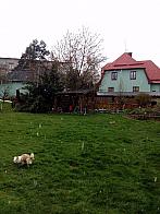 Vítkov