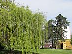 Neratovice
