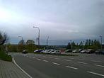 Borovina
