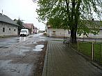 Třibřichy