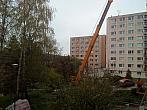 Borovina