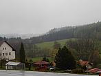 Zajíčkov