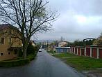 Borovina