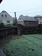 Třibřichy