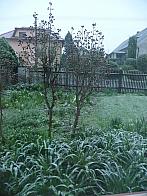 Třibřichy