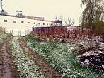 Borovina