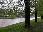 Český Těšín