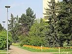 Neratovice