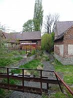 Třibřichy
