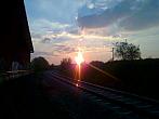 Borovina