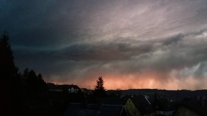 Tachov