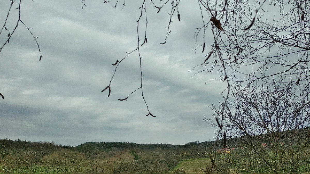 Habrovany