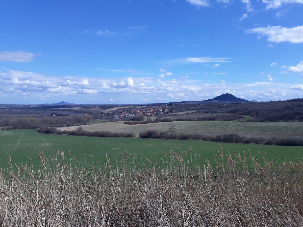 Podsedice