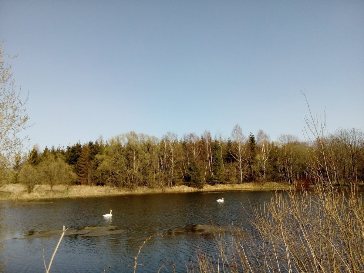Vítkov