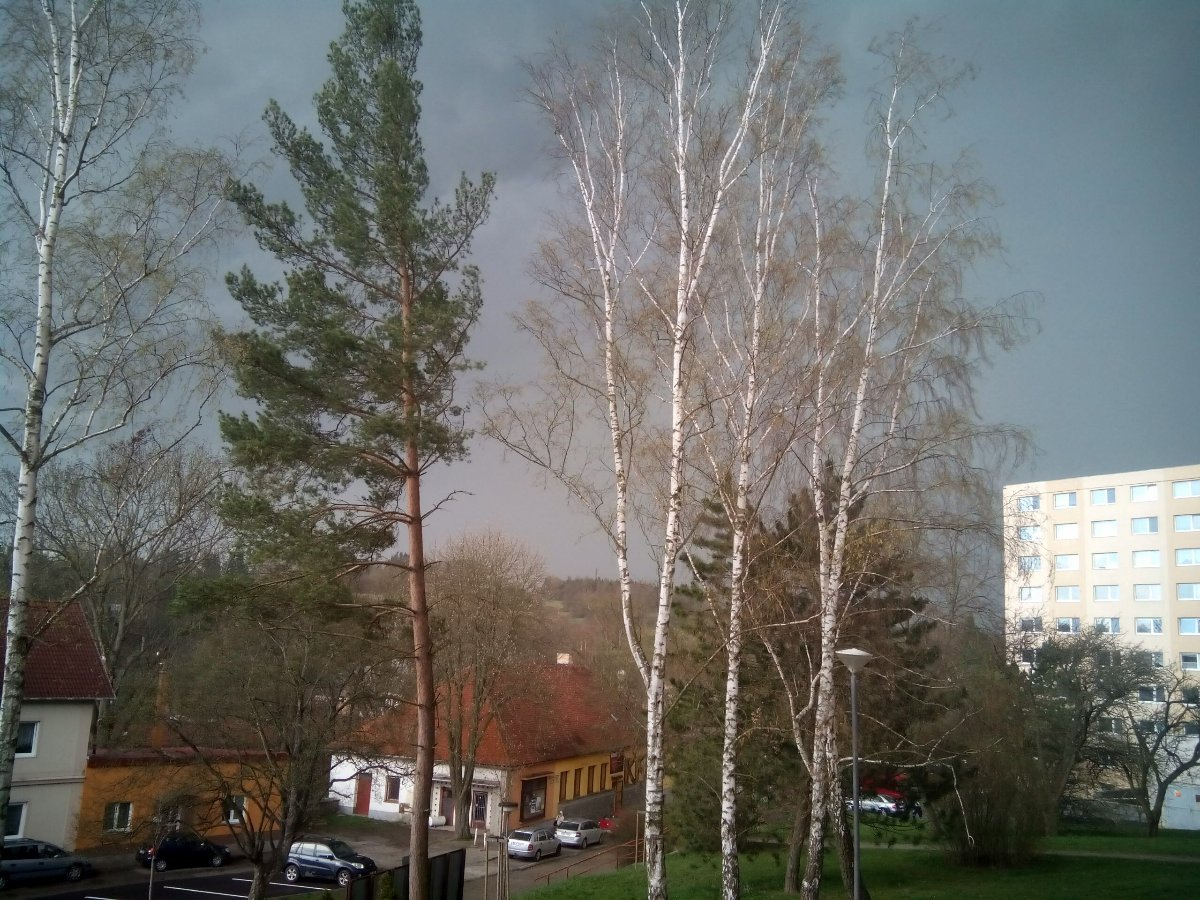 Borovina