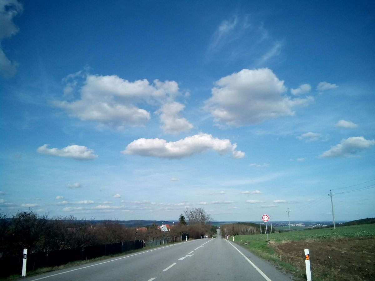 Markvartice